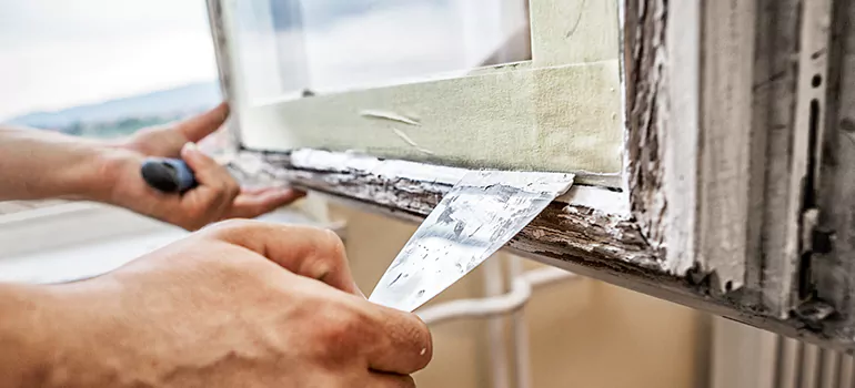 Custom Window Insulation Solutions in Meadow Woods, FL