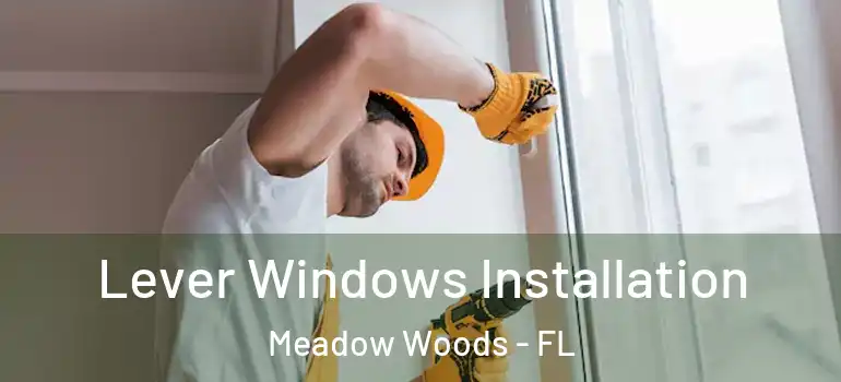 Lever Windows Installation Meadow Woods - FL