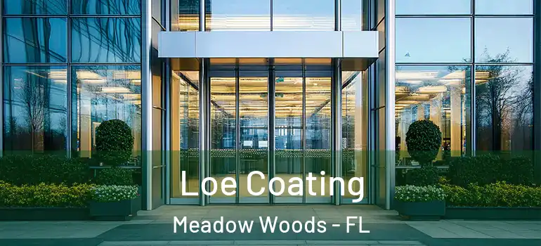 Loe Coating Meadow Woods - FL
