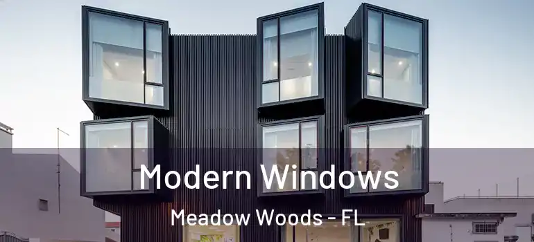 Modern Windows Meadow Woods - FL