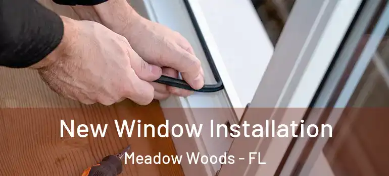 New Window Installation Meadow Woods - FL