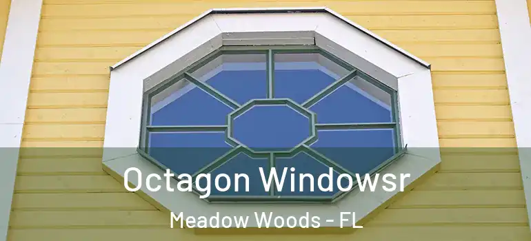 Octagon Windowsr Meadow Woods - FL
