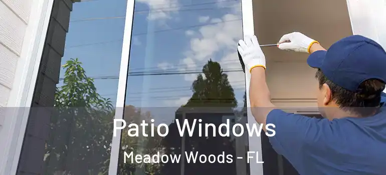 Patio Windows Meadow Woods - FL