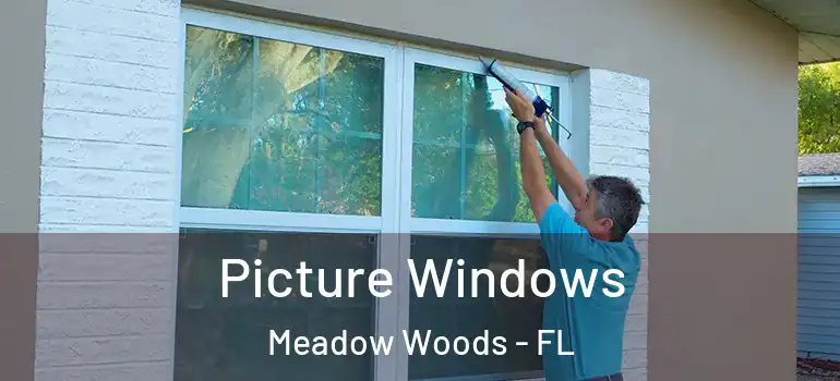 Picture Windows Meadow Woods - FL