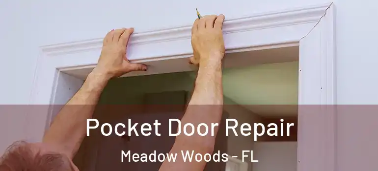 Pocket Door Repair Meadow Woods - FL