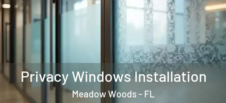Privacy Windows Installation Meadow Woods - FL