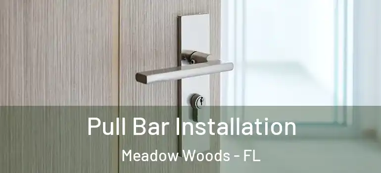 Pull Bar Installation Meadow Woods - FL
