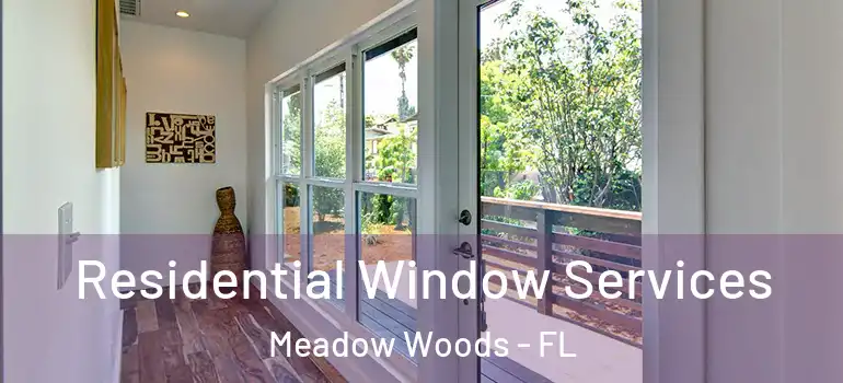 Residential Window Services Meadow Woods - FL