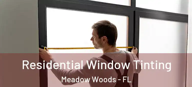 Residential Window Tinting Meadow Woods - FL