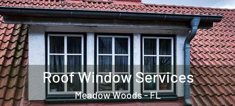 Roof Window Services Meadow Woods - FL