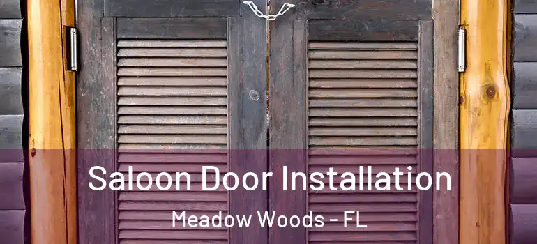 Saloon Door Installation Meadow Woods - FL