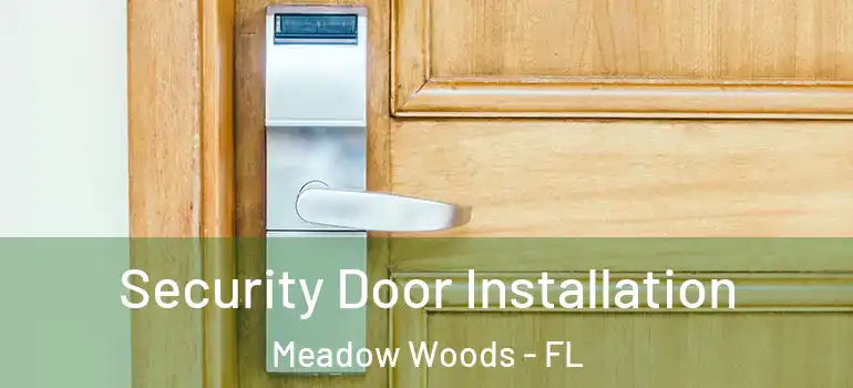 Security Door Installation Meadow Woods - FL