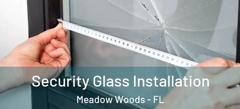 Security Glass Installation Meadow Woods - FL