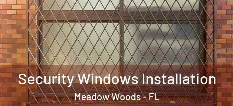 Security Windows Installation Meadow Woods - FL