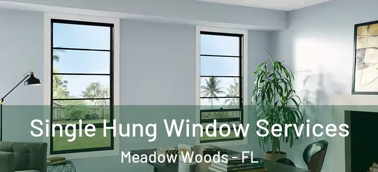 Single Hung Window Services Meadow Woods - FL
