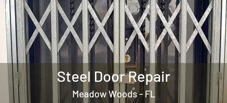 Steel Door Repair Meadow Woods - FL
