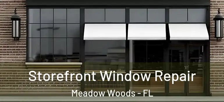 Storefront Window Repair Meadow Woods - FL