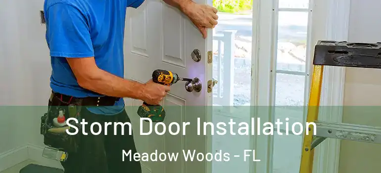 Storm Door Installation Meadow Woods - FL