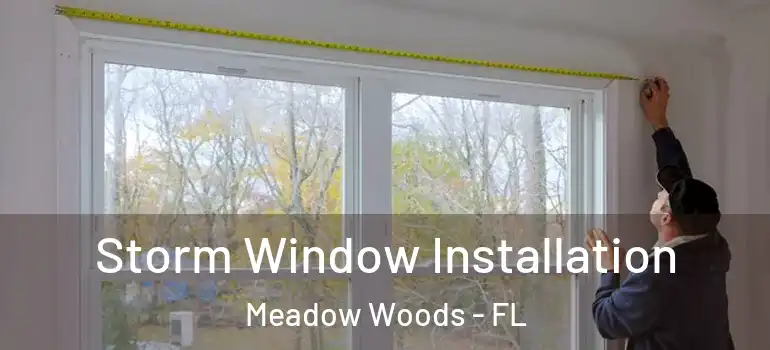 Storm Window Installation Meadow Woods - FL