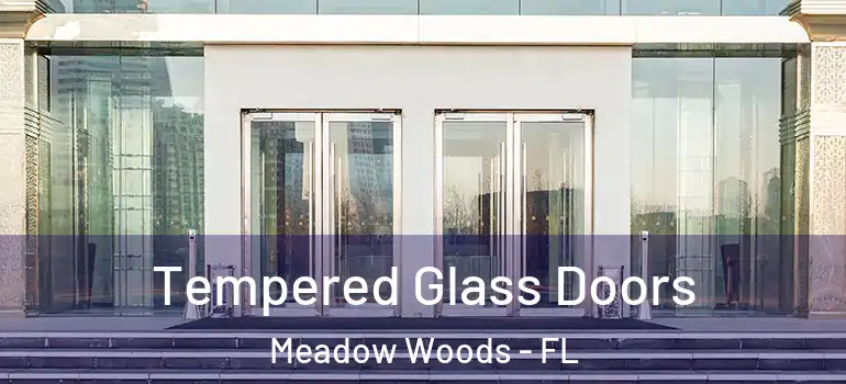 Tempered Glass Doors Meadow Woods - FL