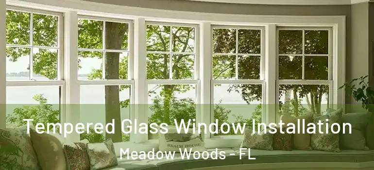 Tempered Glass Window Installation Meadow Woods - FL