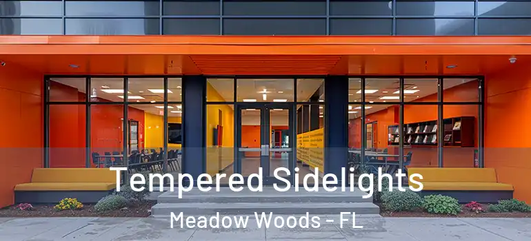 Tempered Sidelights Meadow Woods - FL