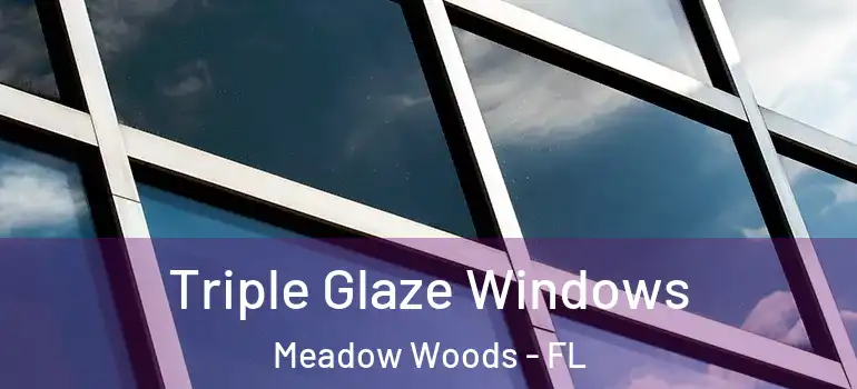 Triple Glaze Windows Meadow Woods - FL