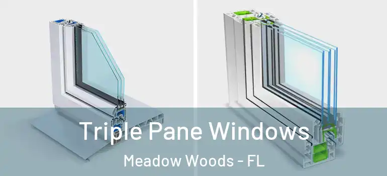 Triple Pane Windows Meadow Woods - FL