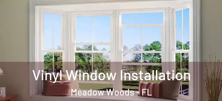 Vinyl Window Installation Meadow Woods - FL