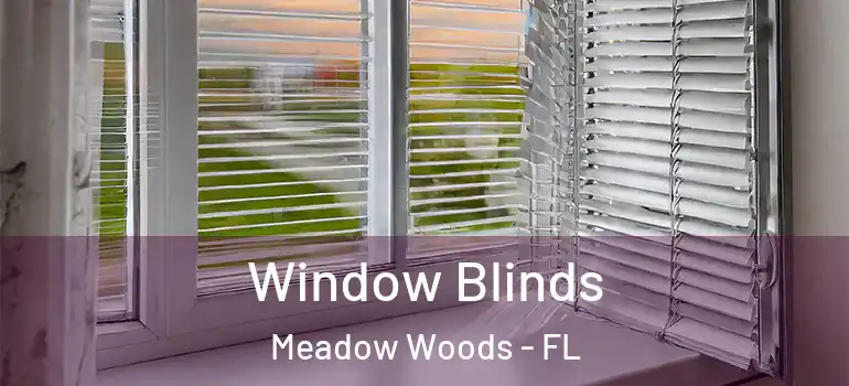 Window Blinds Meadow Woods - FL