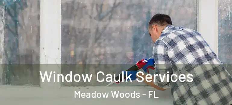 Window Caulk Services Meadow Woods - FL