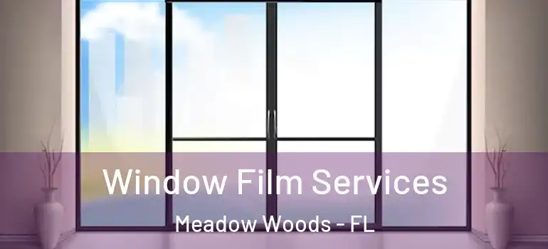 Window Film Services Meadow Woods - FL