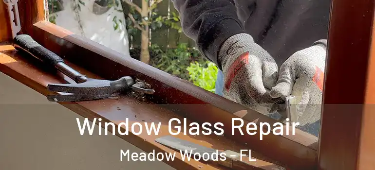 Window Glass Repair Meadow Woods - FL