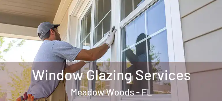 Window Glazing Services Meadow Woods - FL