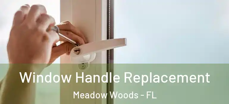 Window Handle Replacement Meadow Woods - FL