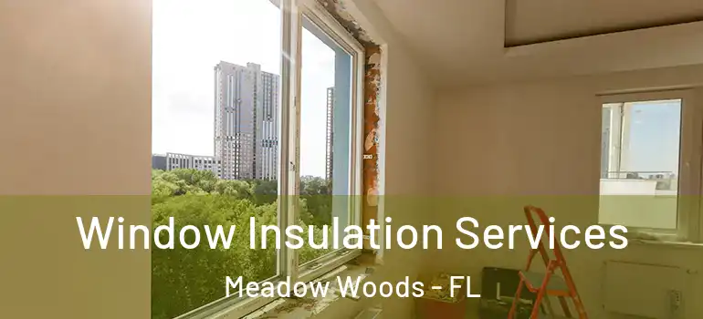 Window Insulation Services Meadow Woods - FL