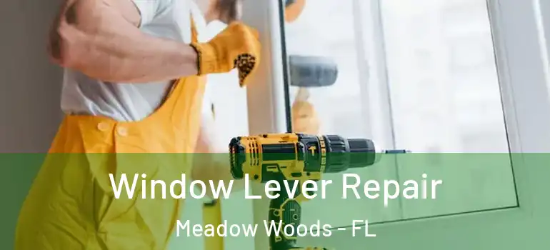 Window Lever Repair Meadow Woods - FL