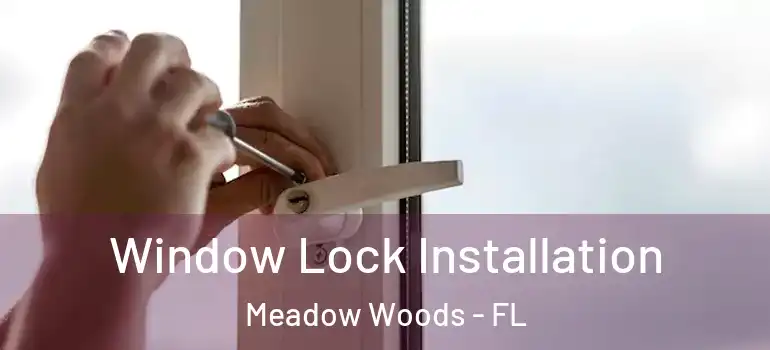Window Lock Installation Meadow Woods - FL