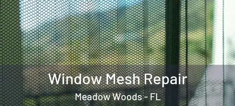 Window Mesh Repair Meadow Woods - FL