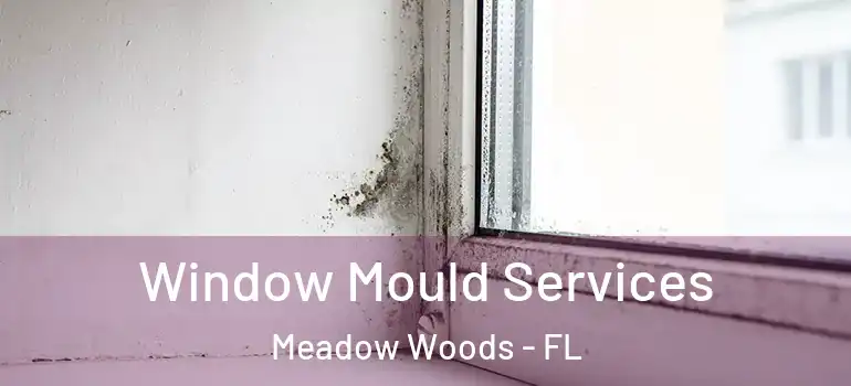 Window Mould Services Meadow Woods - FL
