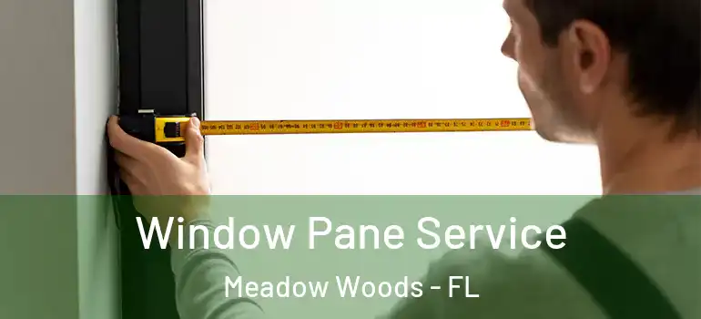 Window Pane Service Meadow Woods - FL