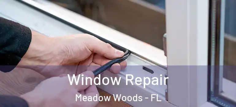 Window Repair Meadow Woods - FL