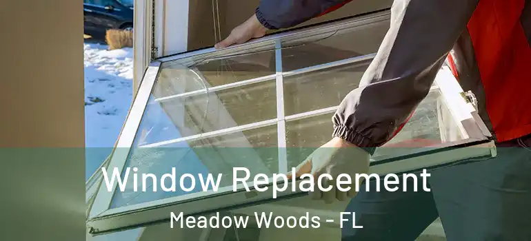 Window Replacement Meadow Woods - FL