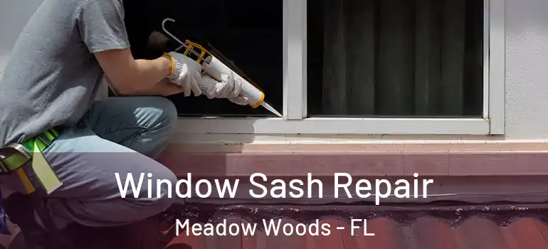 Window Sash Repair Meadow Woods - FL