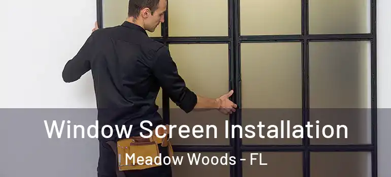 Window Screen Installation Meadow Woods - FL