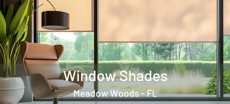 Window Shades Meadow Woods - FL