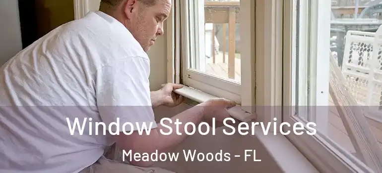 Window Stool Services Meadow Woods - FL