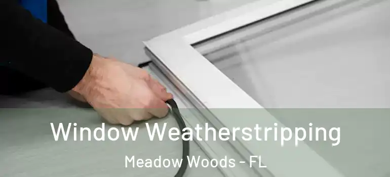 Window Weatherstripping Meadow Woods - FL
